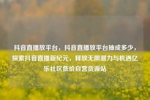 抖音直播放平台，抖音直播放平台抽成多少，探索抖音直播新纪元，释放无限潜力与机遇亿乐社区低价自营货源站  第1张